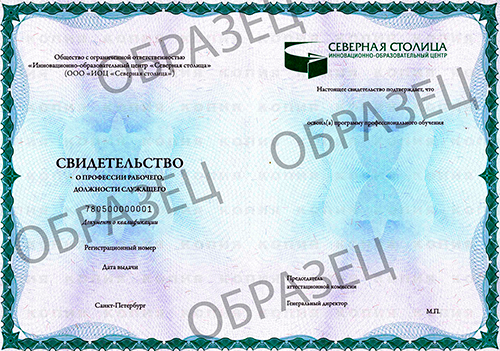Образец_Свидетельство ООО ИОЦ Северная столица 1